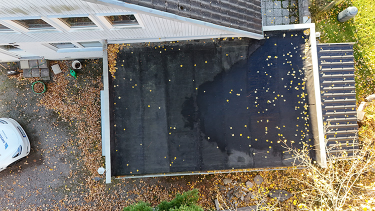 DJI_20241023095615_0113_D