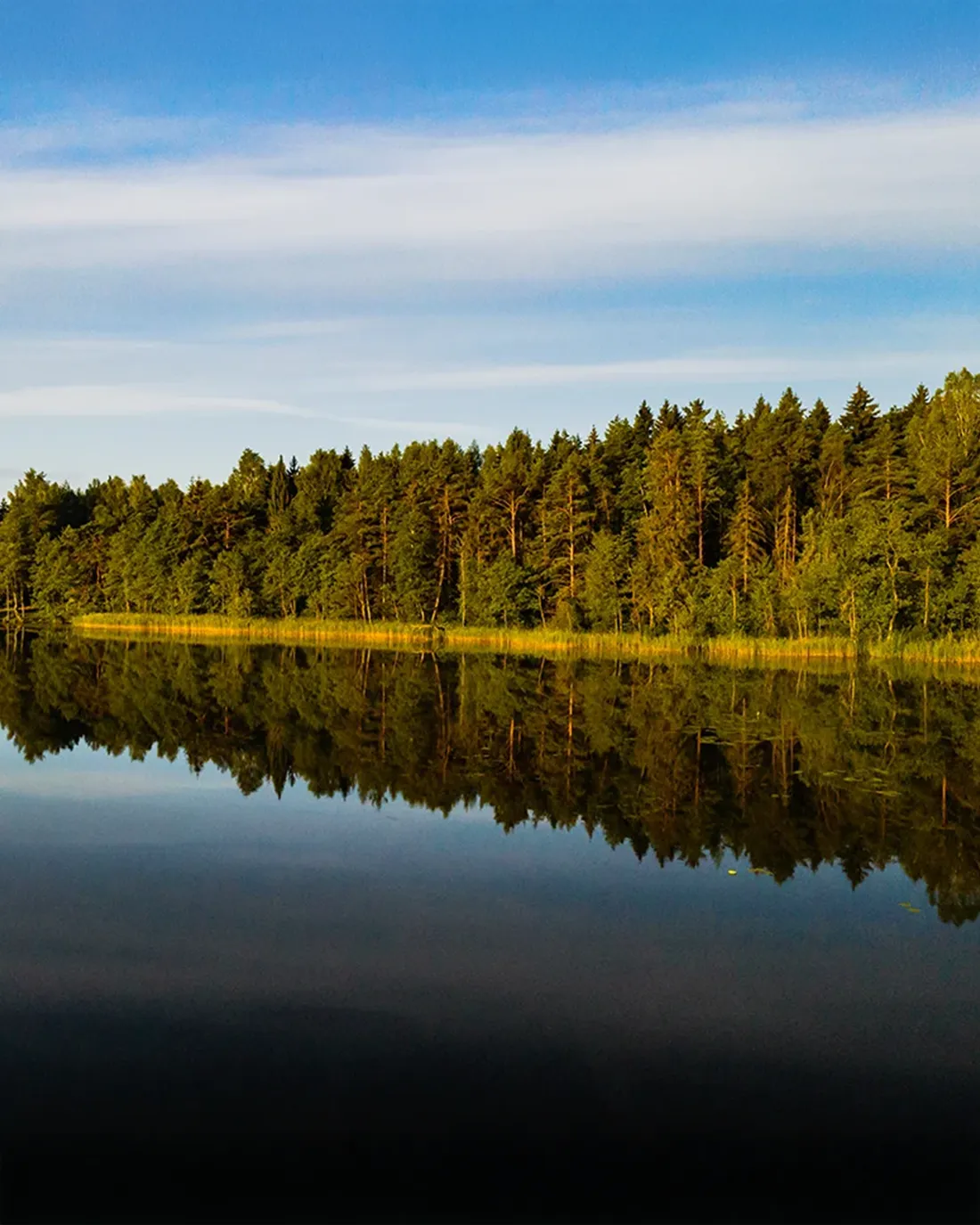 hallbara taklosningar svevitak stockholm