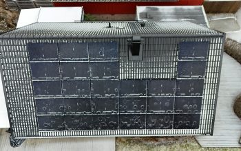 DJI_20250203131855_0002_D